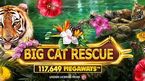  “Big Cat Rescue Megaways” ýeri